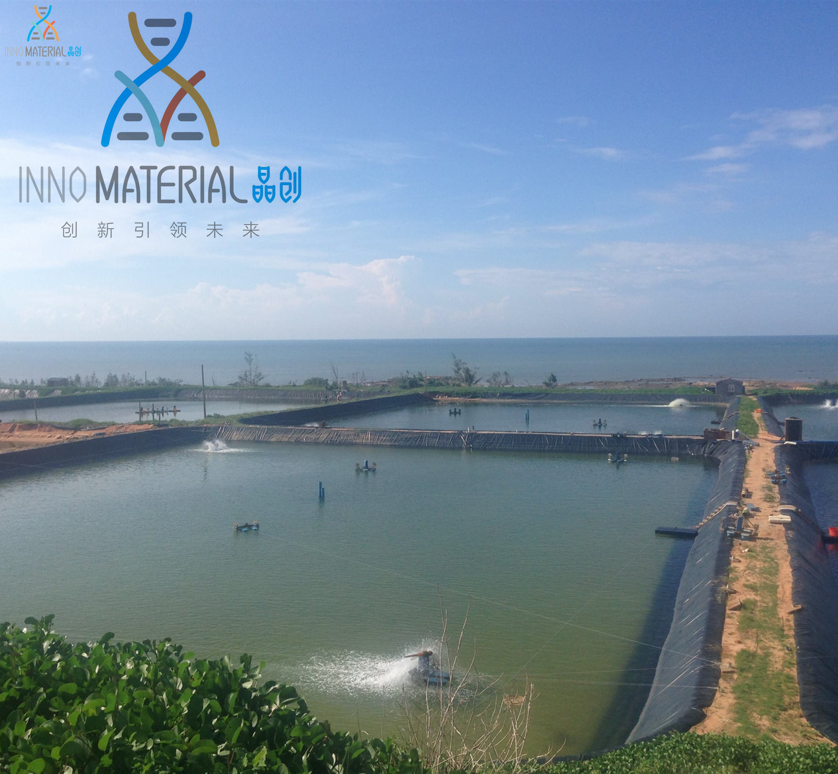 Smooth High Density Low Price 0.3mm-2.5mm HDPE Geomembrane for Landfill Site
