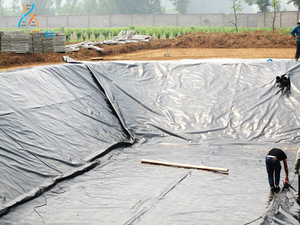 Impermeable Polyethylene HDPE Geomembrane for Seepage