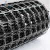 Strengthen Support Subgrade Width 1-6m Bilateral Stretch Plastic Geogrid 