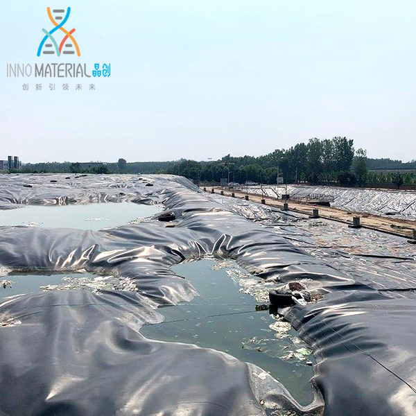 HDPE Geomembrane