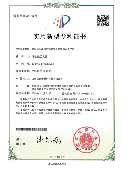 Patent